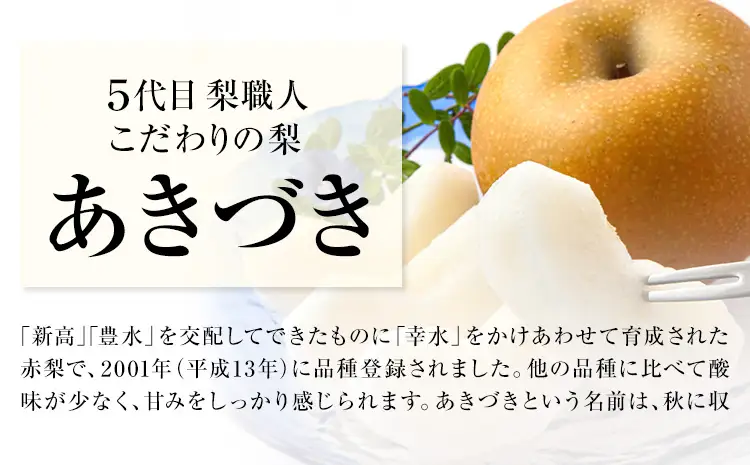 梨 贈答用 あきづき 約3.5kg 梨 熊本