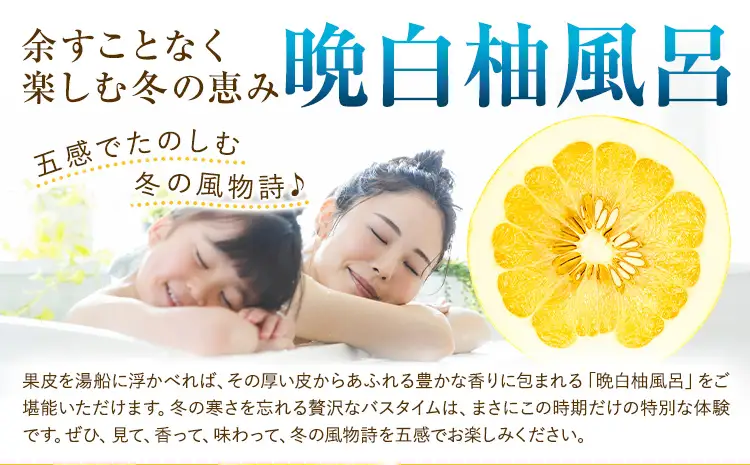 柑橘 晩白柚 3L 4玉 10kg 日本フルーツ株式会社