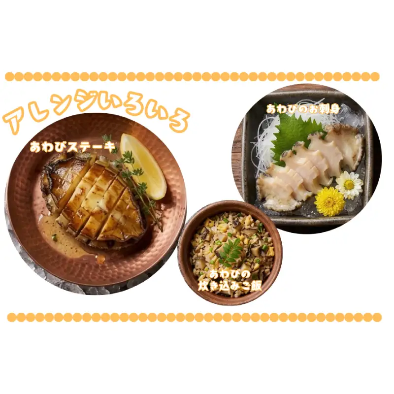 冷凍あわび 8～14枚 下関 山口 《さわ水産：SW》