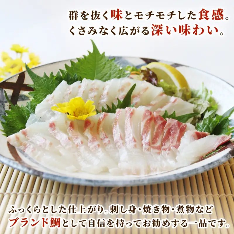 【真鯛】 鯛一郎クン 皮付き ロイン 4枚  真鯛 株式会社タイチ D026-195003