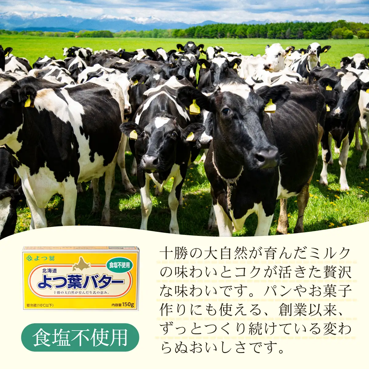 【3カ月毎4回】よつ葉バター（食塩不使用） 20個入り SKA046-2-3