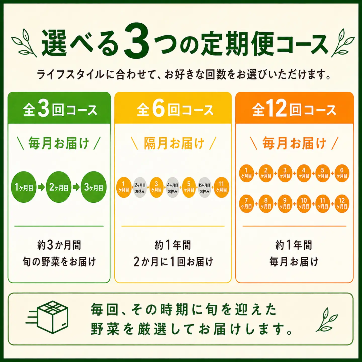 定期便 旬野菜セット 全6回 隔月
