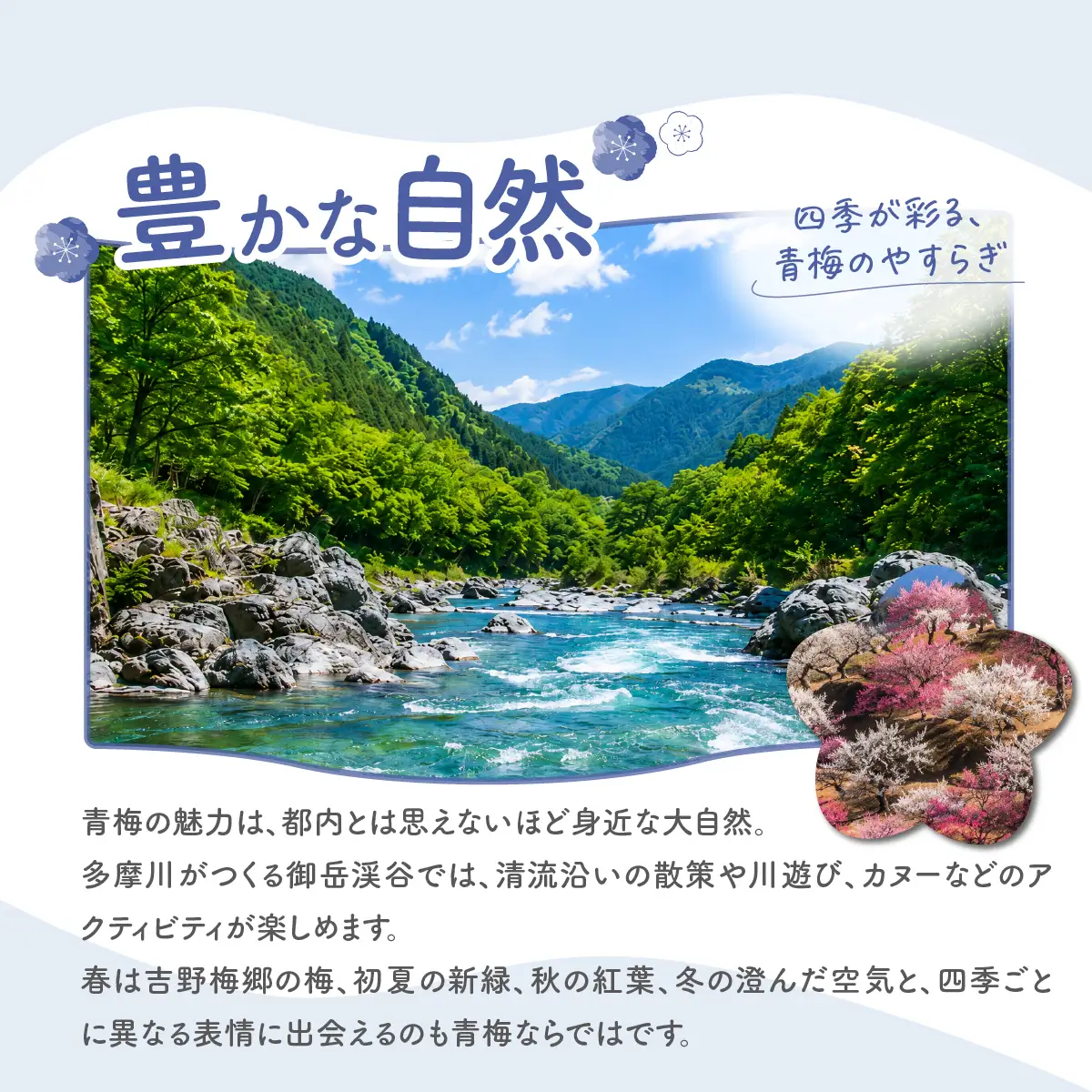 お茶 狭山茶詰め合わせ 300g×6個入 飲料 お茶 茶 茶葉 日本三大銘茶 荒茶 煎茶 芽茶 くき茶 粉茶 ホット アイス 産地元詰め 真空パック 詰合せ | 国産 お茶 茶 日本茶 狭山茶 和紅茶 茶葉 煎茶 荒茶 芽茶 くき茶 粉茶 ホット アイス 飲料 ティータイム お取り寄せ ギフト 贈答 贈答用 贈り物 プレゼント 手土産 お土産 自宅用 家庭用 お中元 有限会社杉田園 東京都 青梅市