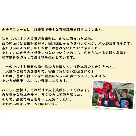 ＜予約受付＞10月下旬より順次発送「若き百姓の覚悟」佐賀県 ヒノヒカリ 米 5kg 【みゆきファーム】 ブランド米 精米済み 白米 有田町 令和8年産 新米 ft007