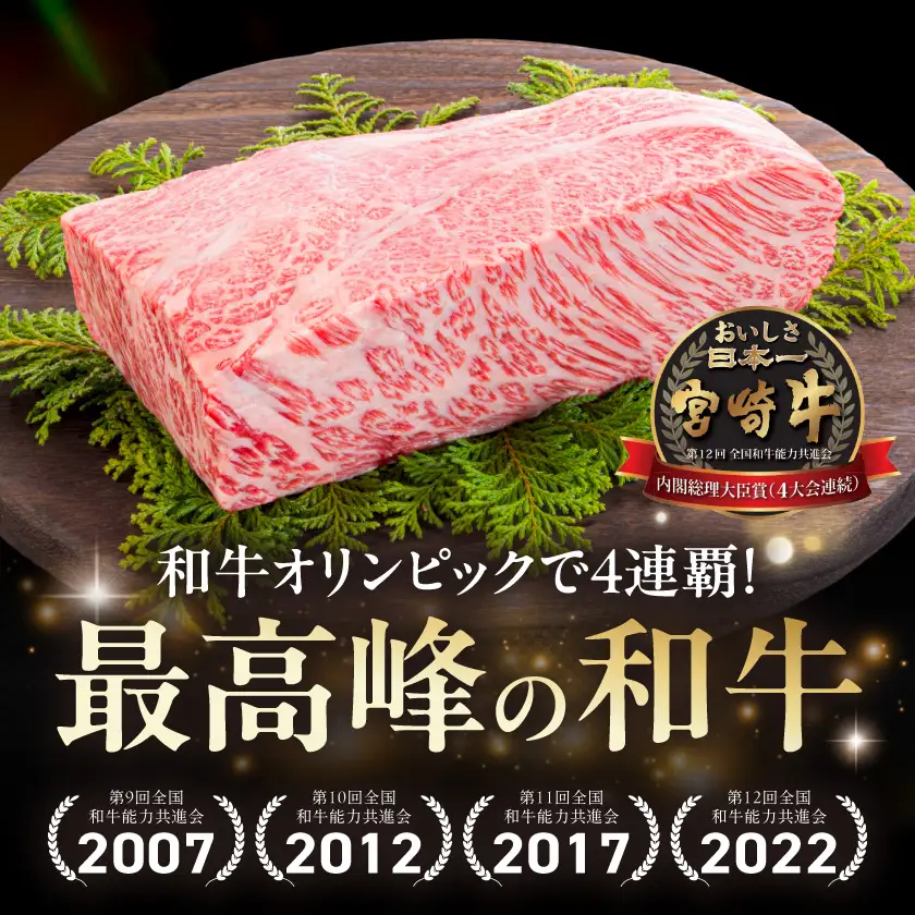 宮崎牛ロース焼肉500g〔17-89-015-500g〕_(都城市)