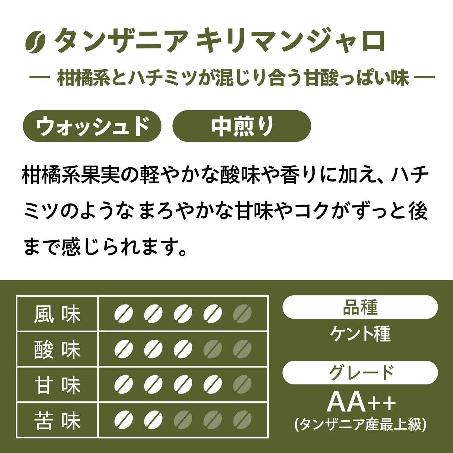 【自家焙煎】コクと深みのコーヒー 2種セット 糸島市 / 楽峰珈琲ロースター / コーヒー / セット[ALR002]