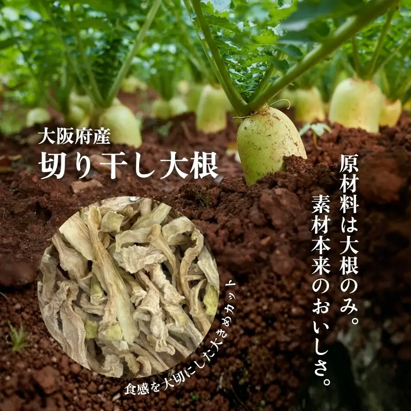 なつかしの味 梅干し 各140g（小梅3パック、南高梅3パック）＆手作り切り干し大根 40g×3パック