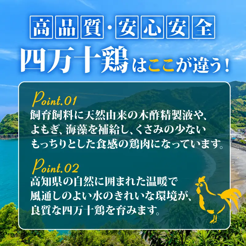 【定期便】 鶏もも肉 計1.5kg（500g×3ヶ月連続お届け) 四万十鶏［(H)1791-2］