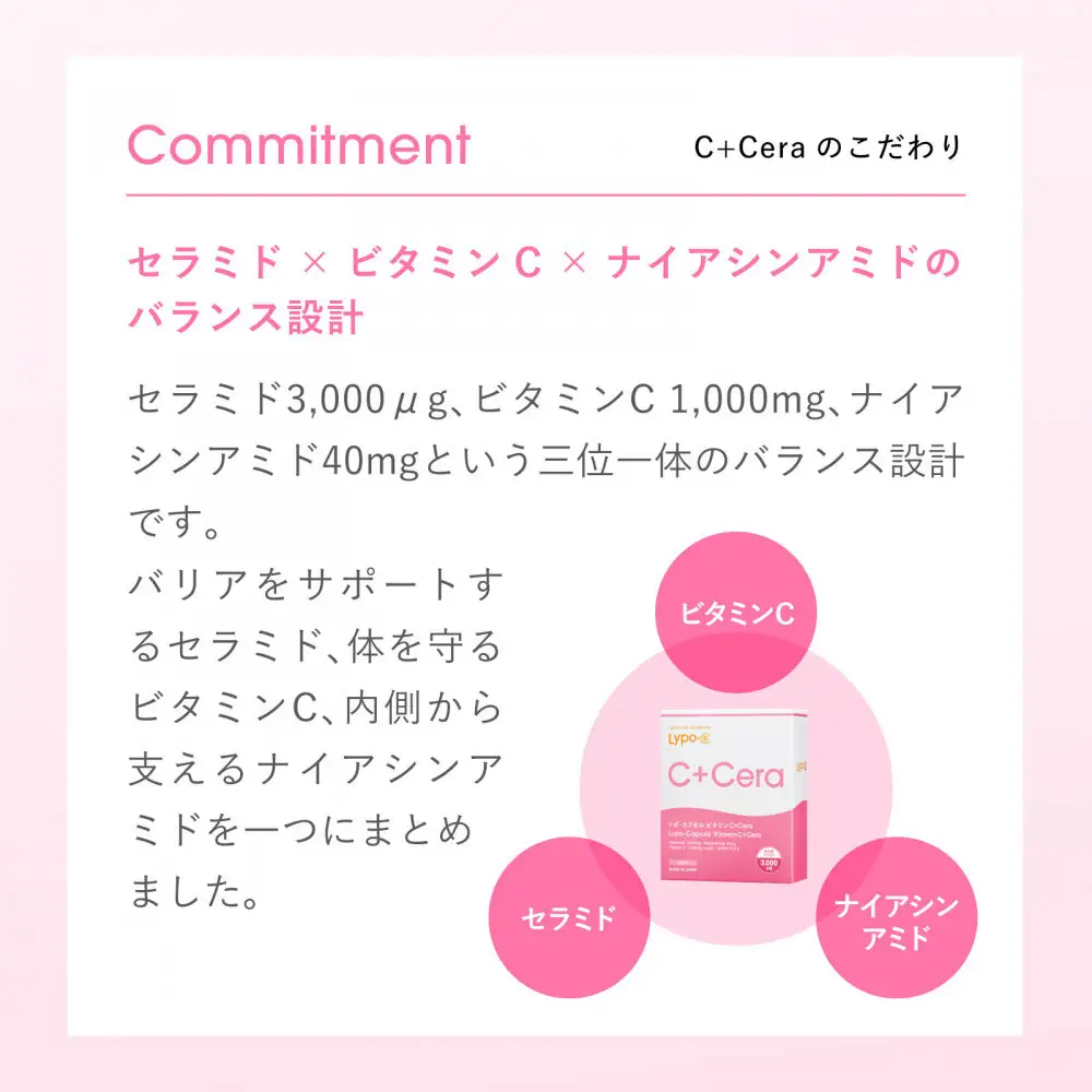 【12ヶ月定期便】【Lypo-C】リポ・カプセル ビタミンC＋Cera（28包入） 2箱