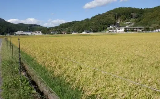 【新米先行予約】 令和8年産 銀河のしずく 10kg 玄米 岩手県オリジナルブランド