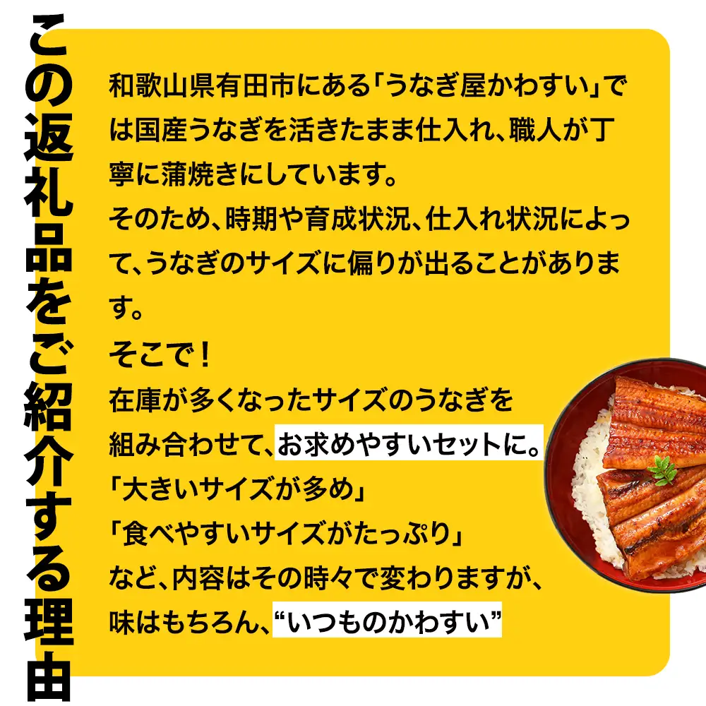 国産 うなぎ 蒲焼き ガチャ 福袋 500g入 うなぎ 鰻 (B1154-1)