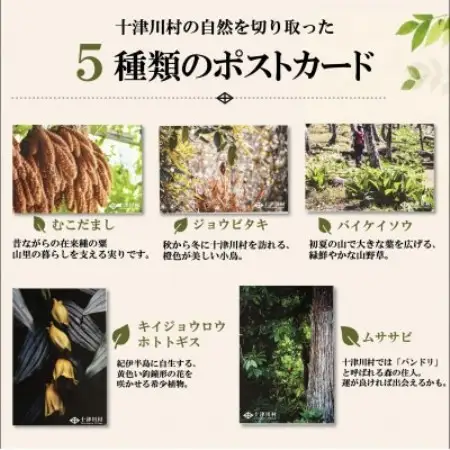 【ふるさと納税限定】十津川村風景ポストカードセット 5枚入り　動物・植物【1760842】