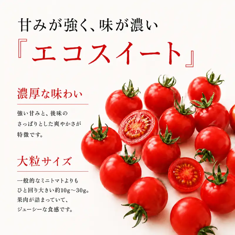 2027年発送 先行受付[栽培期間中 農薬・化学肥料不使用] 北海道 仁木町産 ミニトマト エコスイート 1.2kg×1箱 サイズ混載 トマト 野菜 [Farm Watanabe]