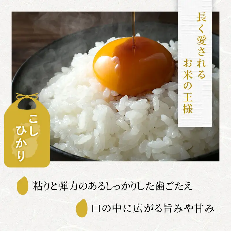 【令和8年産】 米 コシヒカリ 白米 5kg 先行予約 新米 こしひかり 精米 こめ コメ お米 ご飯 5キロ 度産 令和八年 令和八年産 滋賀県 豊郷町
