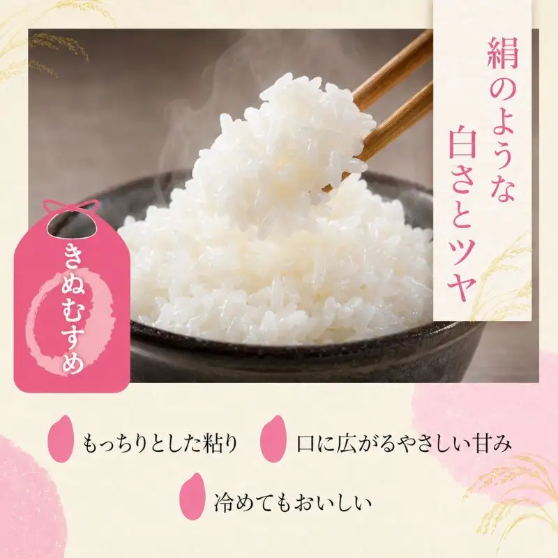 【令和8年産】 米 近江米 白米 5kg 先行予約 新米 きぬむすめ 精米 こめ コメ お米 ご飯 キヌムスメ 5キロ 度産 令和八年産 滋賀県 豊郷町