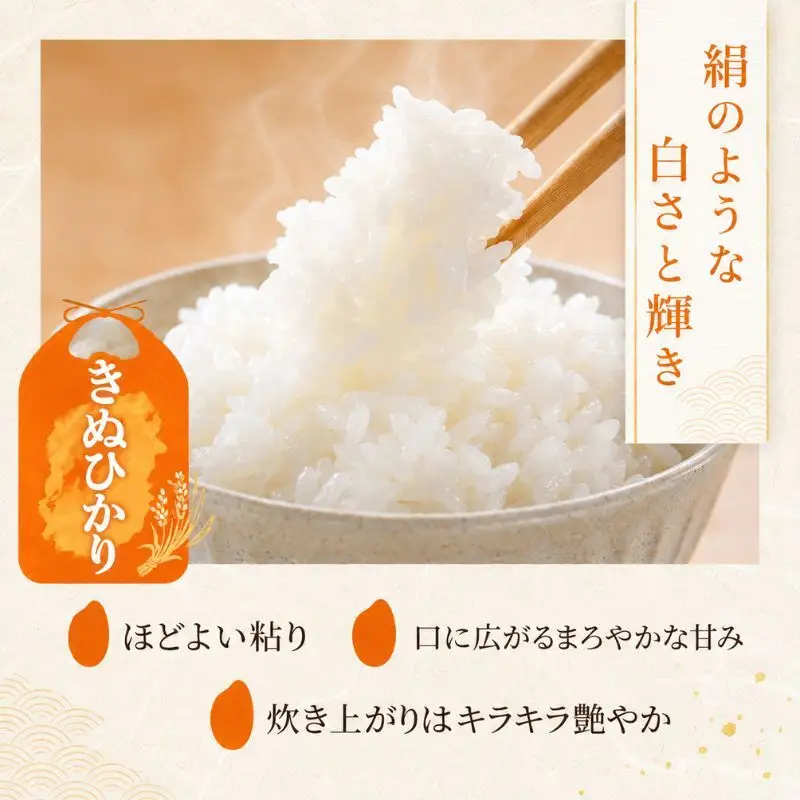 【令和8年産】 米 定期便 キヌヒカリ 白米 5kg 先行予約 新米 きぬひかり 6回定期便 精米 こめ コメ お米 ご飯 米定期便 6か月定期便 6ヶ月定期便 6回 6ヶ月 6か月 滋賀県 豊郷町