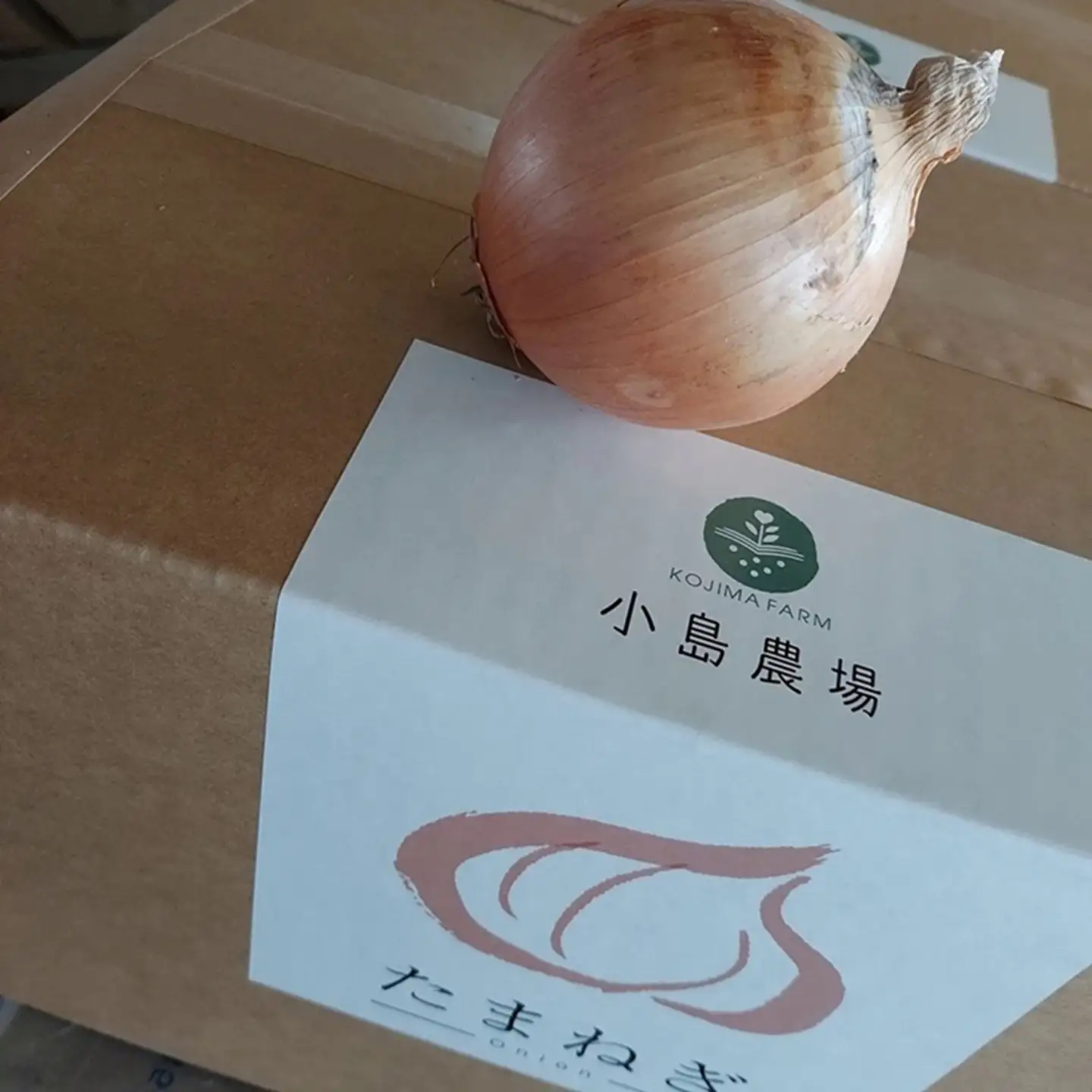 玉ねぎ 小島農場 10kg 美幌町産（2026年11月以降順次発送） AW005 | 玉ねぎ
