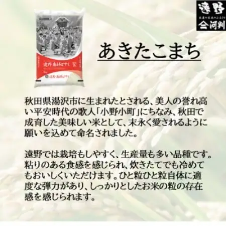 【毎月定期便】岩手県 遠野産 あきたこまち 精米 10kg全6回【4089970】
