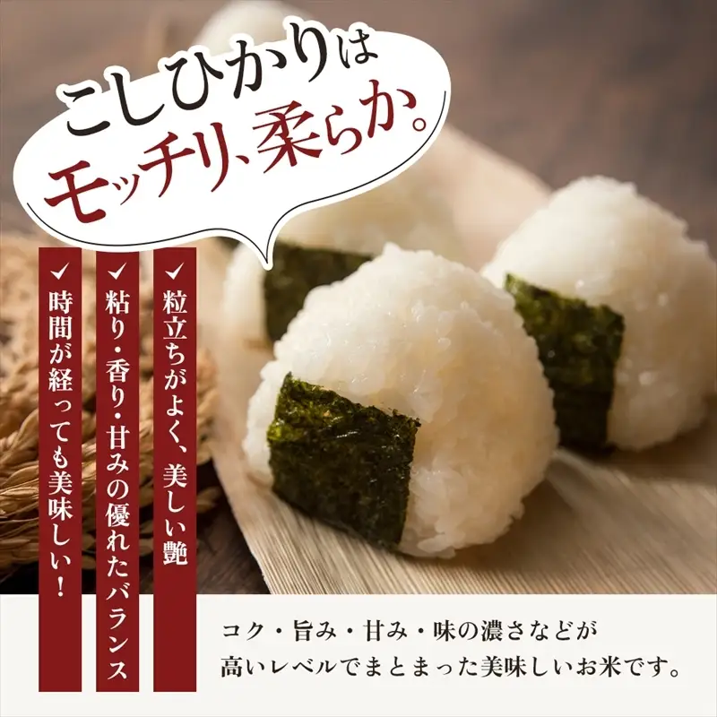 【最短3日発送】コシヒカリ 無洗米 上越産 10kg 精米 コシヒカリ