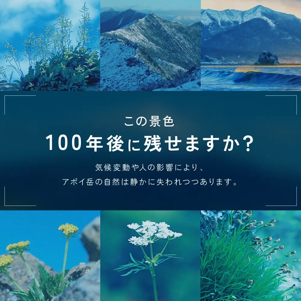 【返礼品なし】アポイ岳ファンクラブ自然保全活動応援　3,000円 返礼品なし