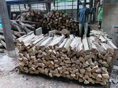 ウバメガシ 薪 約125kg マルモ 製炭所 / 薪