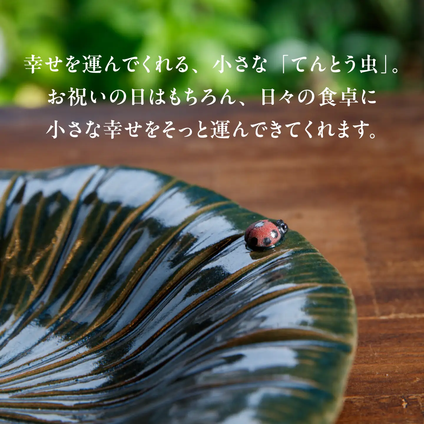【ながせ陶房】天道虫 睡蓮皿 1点【陶芸作家 長瀬渉】[UB06]