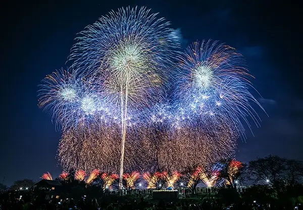 つ*ぽ様 土浦全国花火競技大会2025 ヒー口ー土浦店駐車場内マス席入場