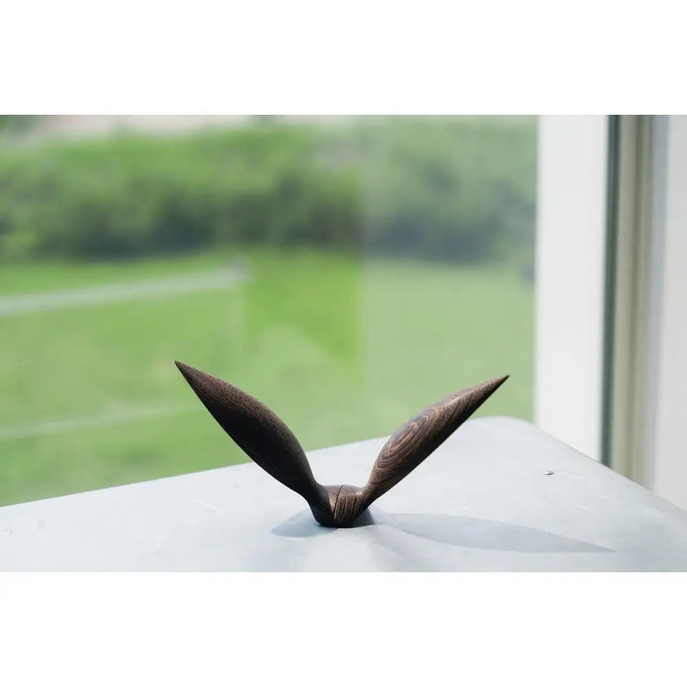 【Tagayasan（タガヤサン）：こげ茶】【銘木再生】幸運を運ぶ木製オブジェliving_bird 鴎