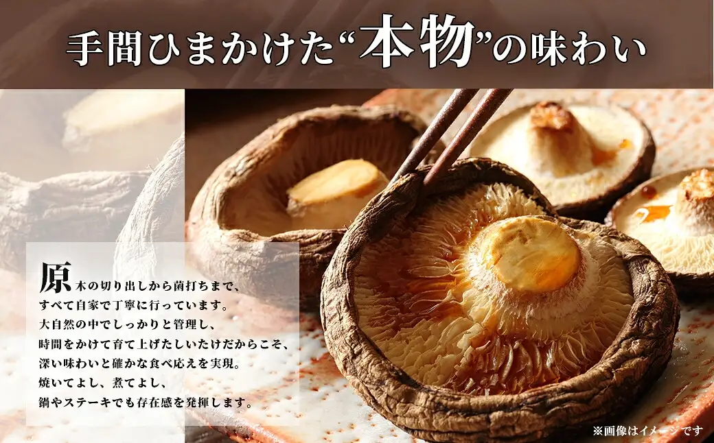 京都丹波 原木しいたけ 500g 丹波かなまろんふぁーむ