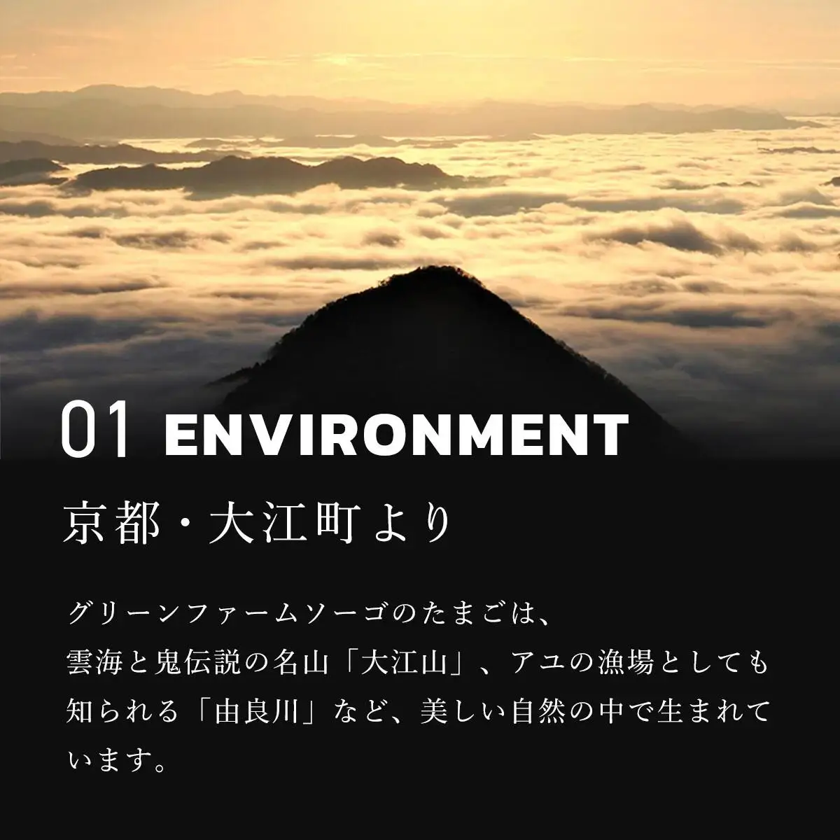 たまご 卵 卵どすえ 計30個 炭火串焼 灯志