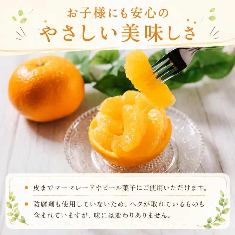 【2027年1月下旬から順次発送 】【伊予柑】 約5kg 伊予柑 愛媛県松山市【DRM005】