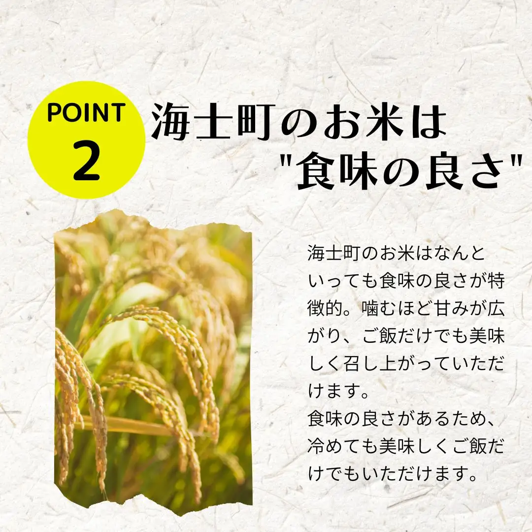 【令和8年度産】お米 コシヒカリ 5kg  精米