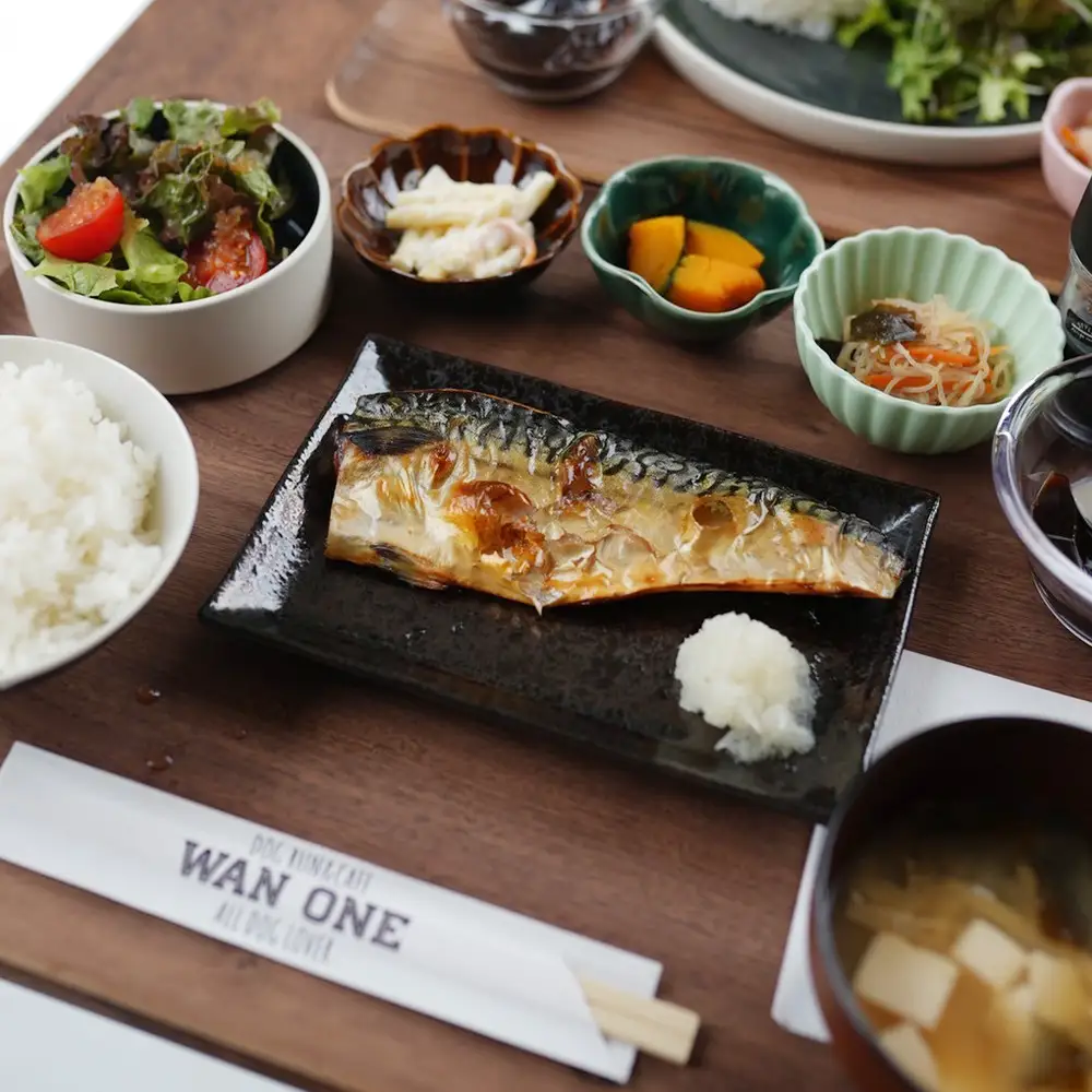 WANONE 利用券 3000円分 500円×6枚 ／ 犬 カフェ ドッグラン 愛犬 お出かけ ペット同伴 犬連れ ランチ 犬遊び場 ドッグカフェ ペット施設 犬用施設 セルフウォッシュ 犬と休日 大阪府 No.380