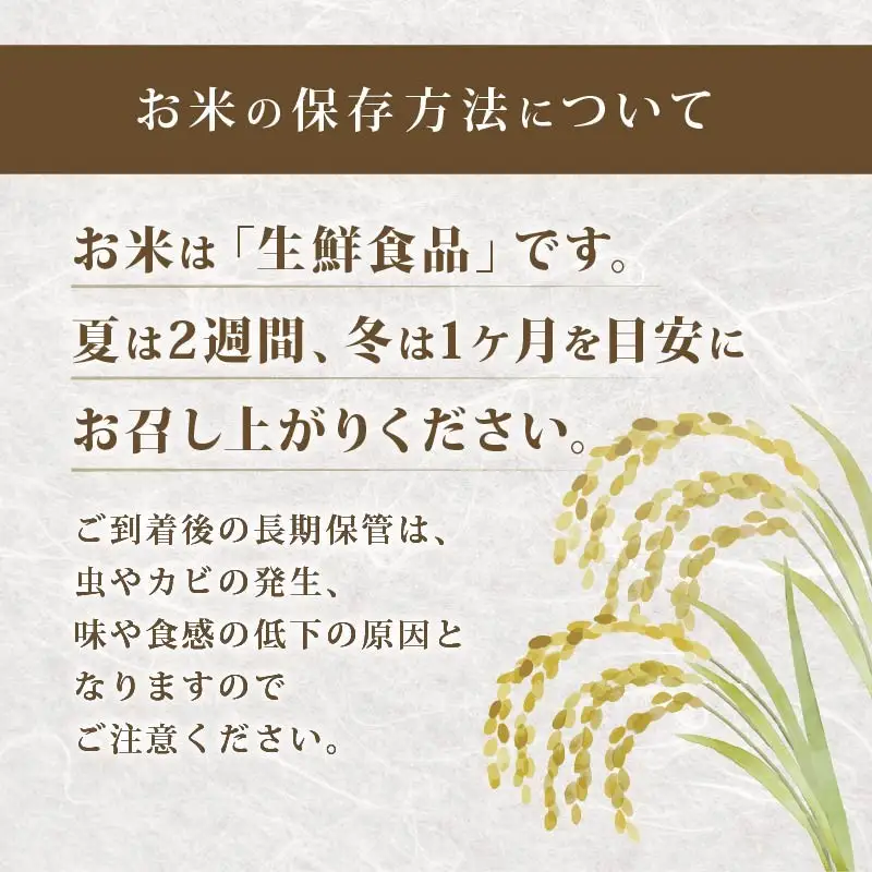 【新米】 令和8年産 先行予約 「きぬむすめ」 5kg ｜ 新米