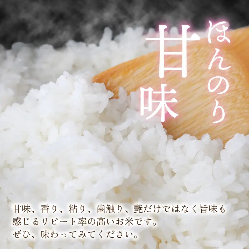 【令和8年産 新米】越前大野産 一等米 帰山農園の棚田育ちコシヒカリ 白米 5kg × 1袋