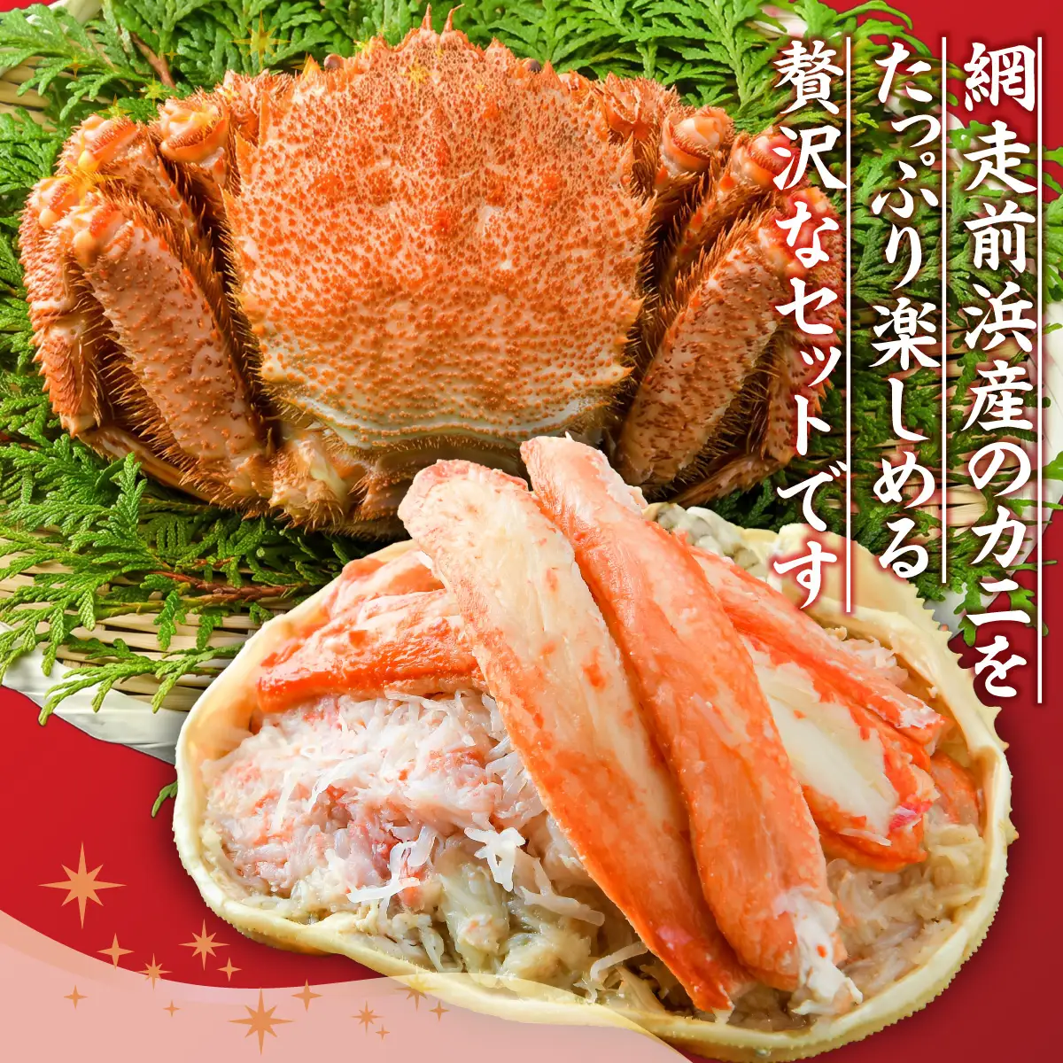 【数量限定】＜網走前浜産＞贅沢かにセット【活〆浜茹で毛がに 1尾(400～440g)・本ズワイガニ甲羅盛り1個(かに肉120g)】 ABAI052