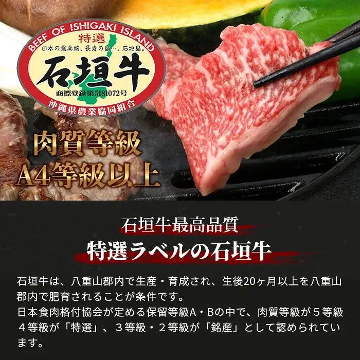 【定期便】《隔月全6回》【訳あり】石垣牛 焼肉用（不揃い）500g
