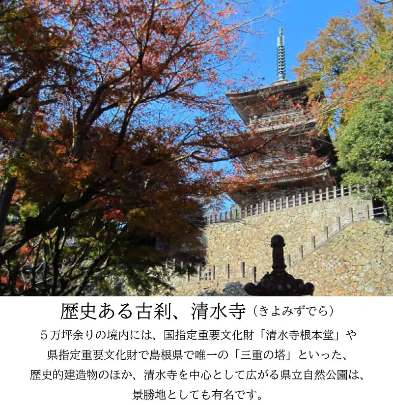 松琴舘 ご宿泊券 10,000円分【宿泊券 精進料理 安来清水寺 和食 チケット 旅館 旅行 旅 癒し 宿 リフレッシュ 自然 ご褒美 島根県 安来市】【34-SK-02】