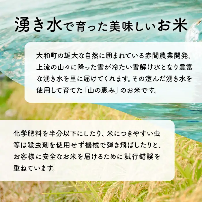 【令和8年産 新米】＜先行予約受付中！R8年9月下旬から順次発送予定＞つきあかり 1kg お米 おこめ 米 コメ 白米 ご飯 ごはん おにぎり お弁当【赤間農業開発株式会社】ta717