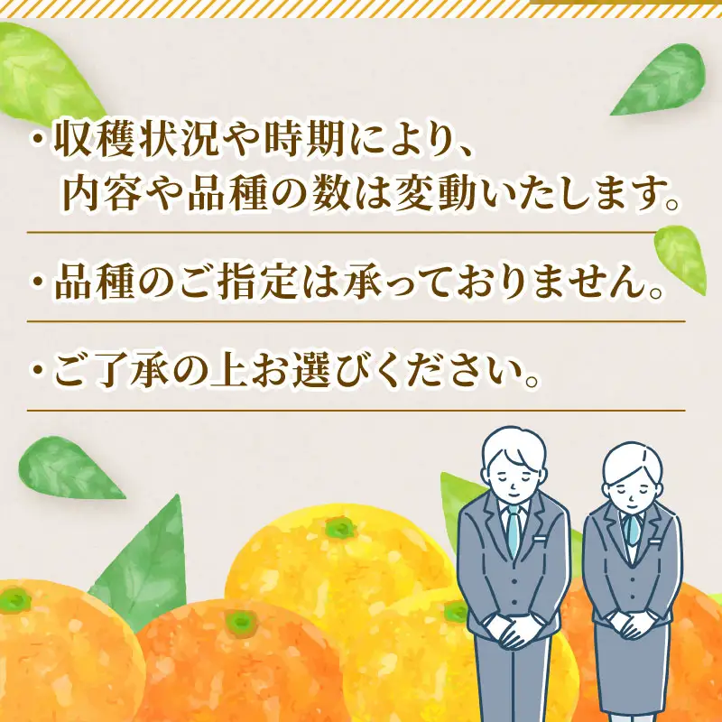 【みかん】訳ありみかん詰め合わせ約4kg矢野青果|B006-171048