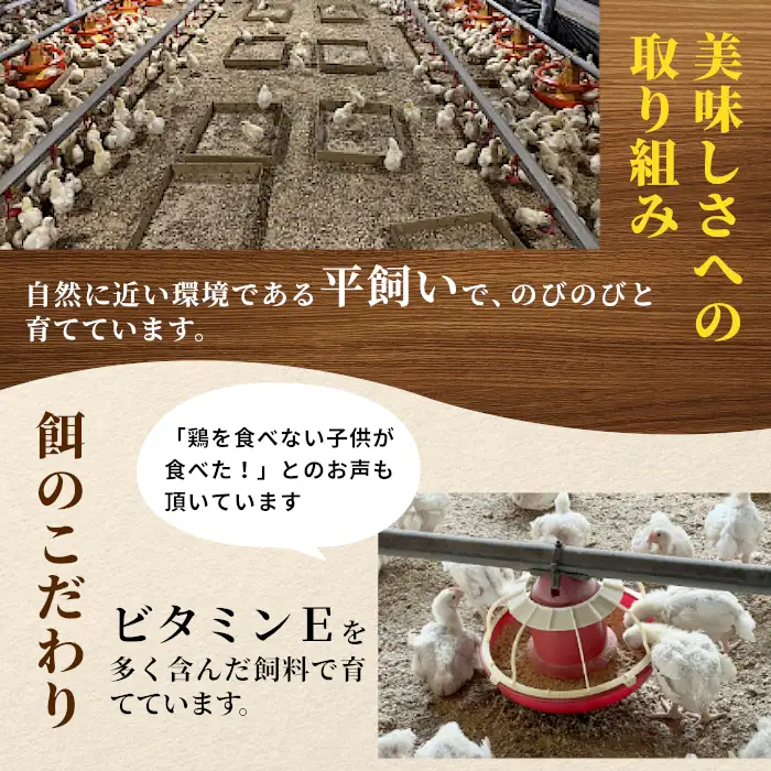 《３営業日以内に発送！》愛知県産 銘柄鶏 奥三河どり ささみ ２Ｋｇ 国産 鳥肉 ささみ ササミ 肉 お肉 鶏 精肉 加熱用 料理 チキン あっさり ヘルシー 冷凍 生 チキン 鶏肉 平飼い -286