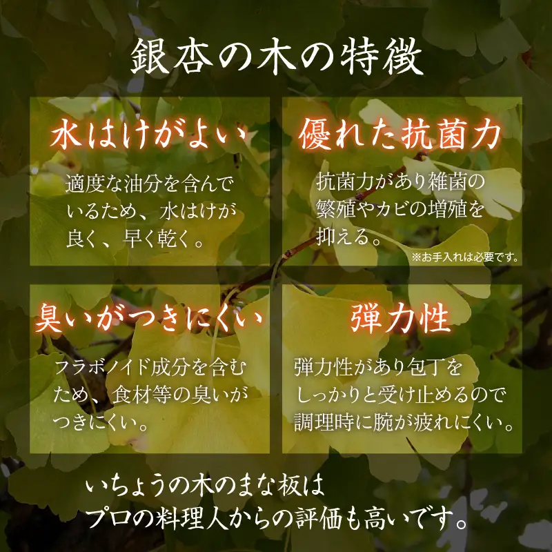 【一点物】恐竜のまち福井県勝山市の風土に育まれた 日本製高級国産いちょうのまな板(大)  [B-026008]