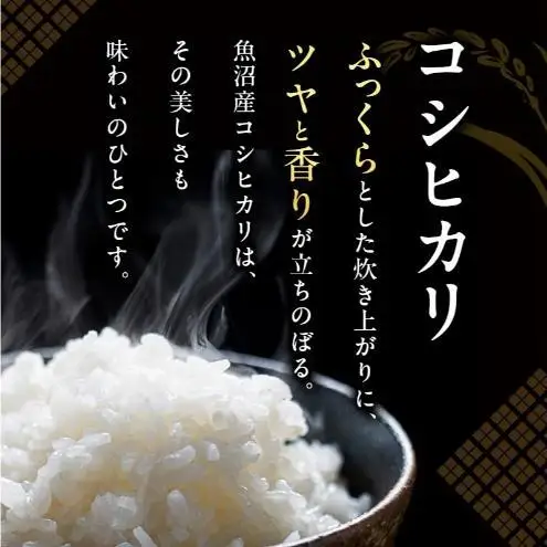 令和7年産 魚沼産 コシヒカリ （精米） 3kg