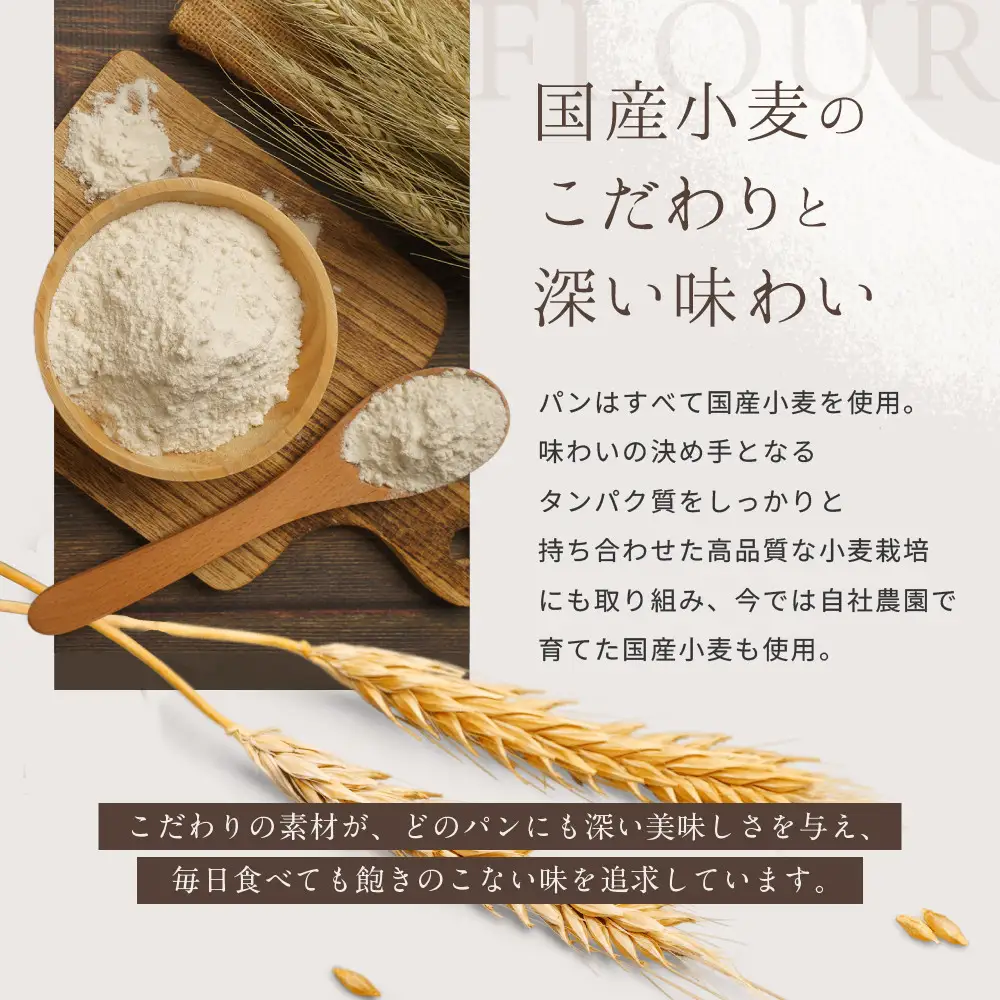 パンのバカンス　クロワッサン10個セット