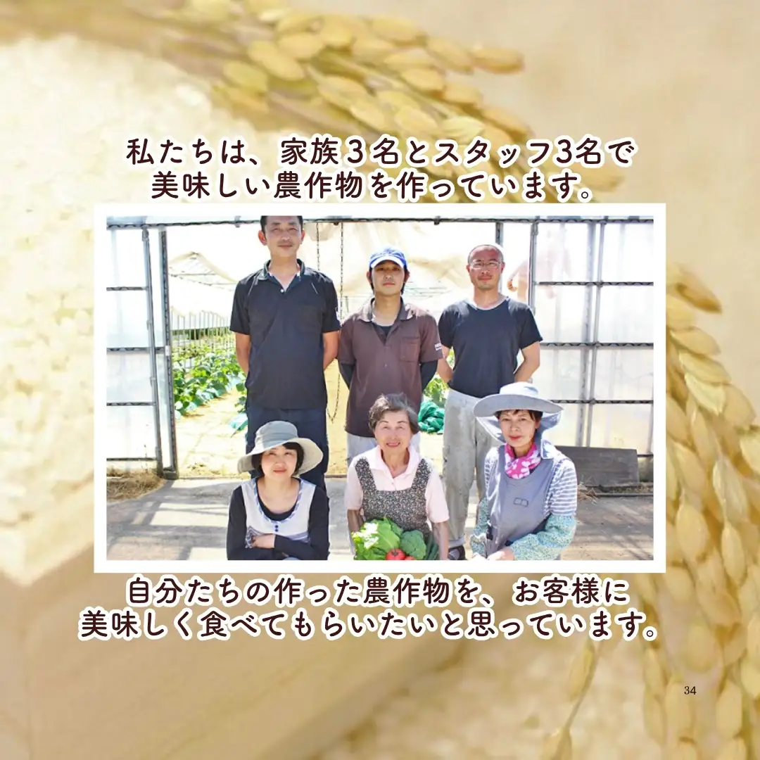 令和7年産】 渡辺農園の特別栽培米コシヒカリ 20kg(5kg×4袋) 新潟県