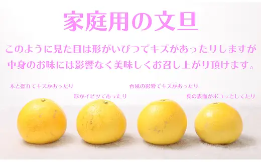 ハッピーフルーツ果樹園 土佐文旦 20kg (5kg × 4箱) 家庭用
