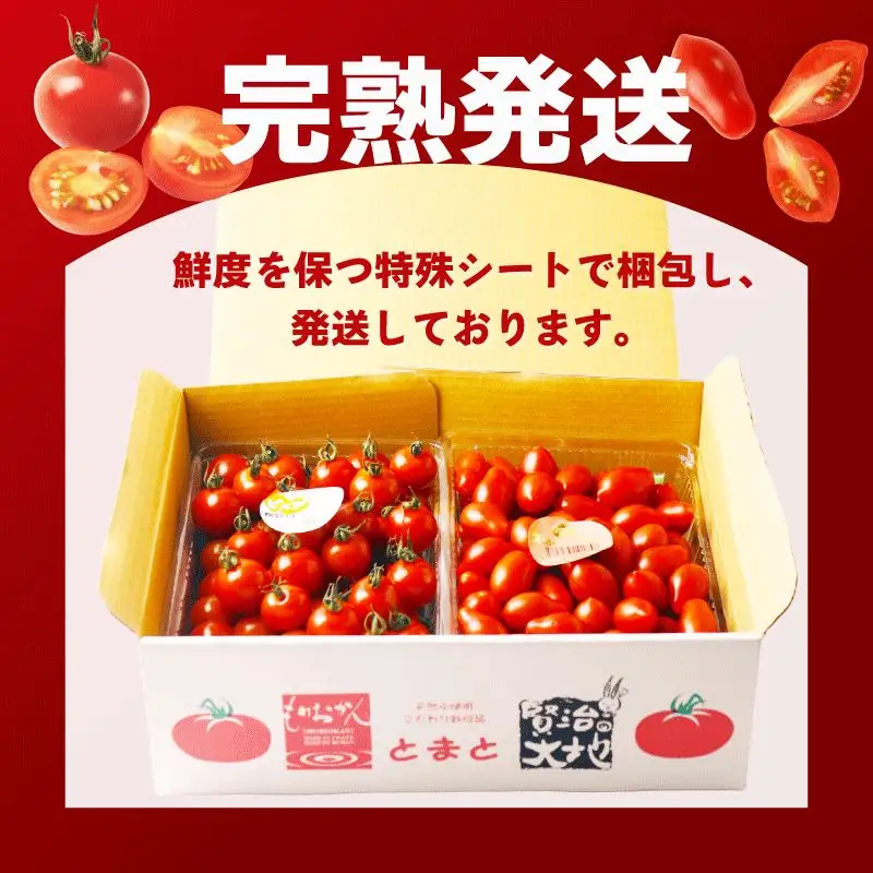 ミニトマト２種 【800ｇ×2種/計1.6㎏ 】 ミニトマト２種 盛岡市 賢治の土株式会社 kenji001 
