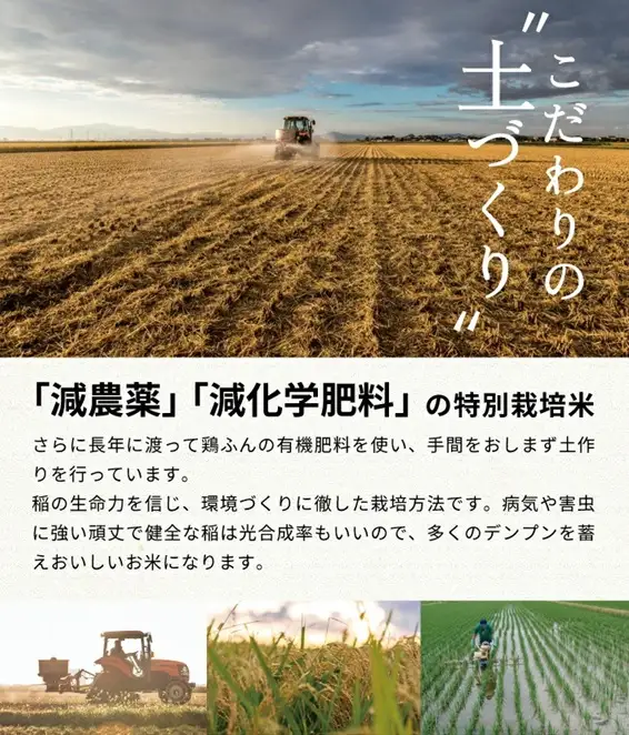 SB1012　11月上旬配送／令和8年産【玄米】　特別栽培米『はえぬき』 10kg(5kg×2袋)［減農薬・減化学肥料］ MA