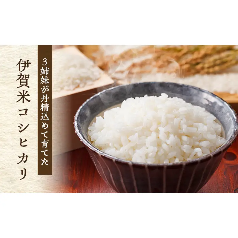 3姉妹が育てたお米　令和7年産　伊賀米コシヒカリ　5kg  三重県 名張市 特A 白米 精米 産直 農家 ご飯 ごはん 新米 寺田農園 こしひかり 令和7年 農家直送 産地直送 国産米 おにぎり 炊飯 おいしい 甘い 三重 清流