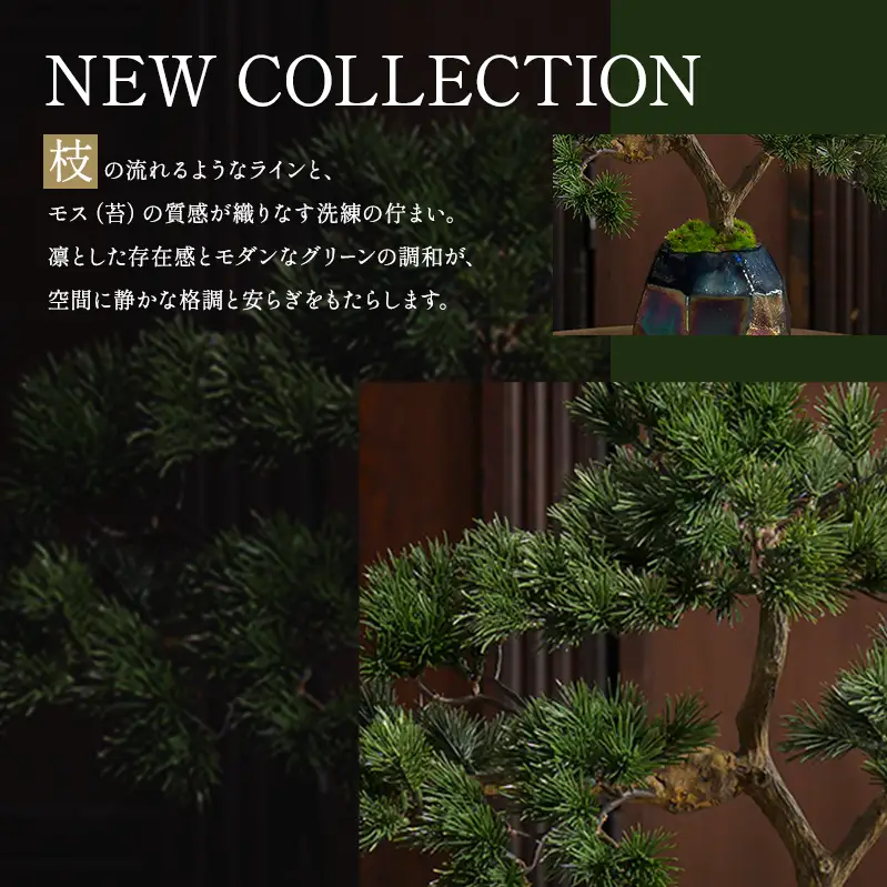 BONSAI 2L26-a TUTGA-80300 | 三重県名張市 | ふるさと納税サイト